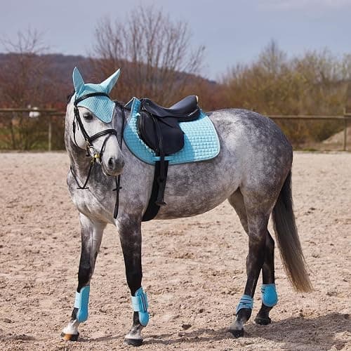 HORZE Adepto Open Front Tendon Boots | Durable Shell with Neoprene Lining - Canal Blue - Horse thumbnail 3