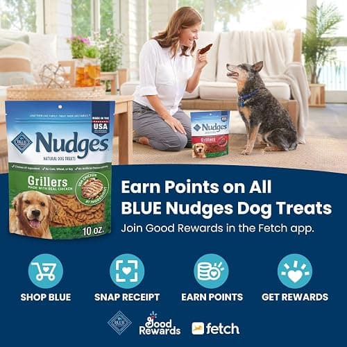 Blue Buffalo Nudges Grillers Natural Dog Treats, Steak, 10oz thumbnail 3