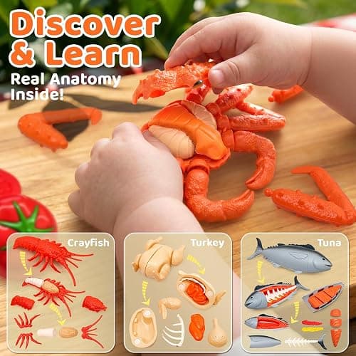 22pcs Montessori Play Seafood Cut Toys Set for Kids Play Kitchen | Kitchen Playset with Toy Food & Fake Fruit, Kitchen Set for Kids &Cutting Set, Kitchen Toys for Boys Girls Ages 3 4 5 thumbnail 2