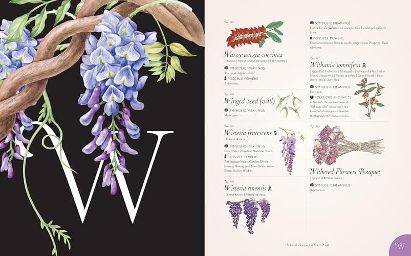 The Complete Language of Flowers: A Definitive and Illustrated History (Volume 3) (Complete Illustrated Encyclopedia, 3) thumbnail 14