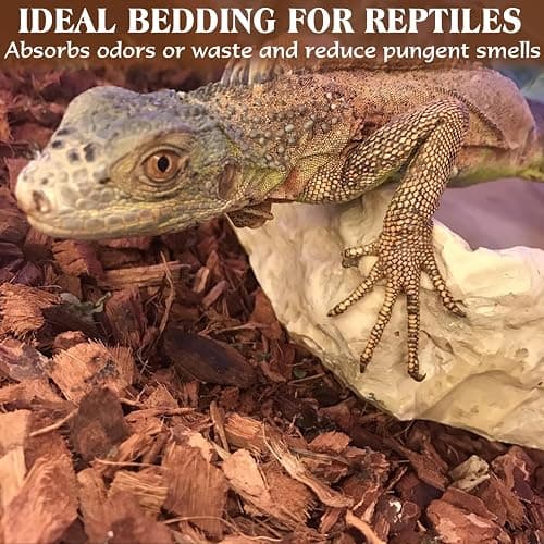 ZeeDix 10LBS Coconut Husk Chip Substrate for Reptiles, 72QT Compressed Organic Coco Coir Chips for Snake Habitat, Reptile Bedding for Ball Python, Tortoises, Geckos, Lizards Terrarium Tanks thumbnail 6