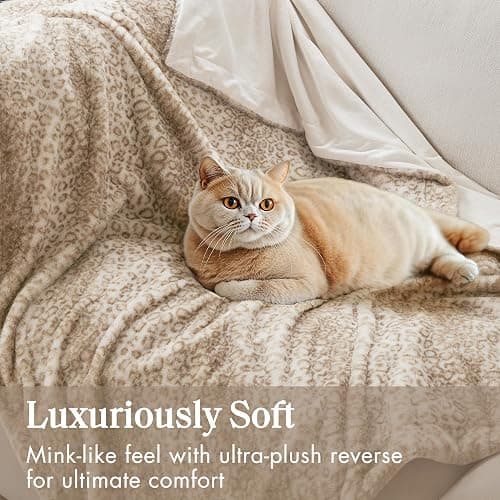 Madison Park Zuri Soft Plush Luxury Oversized Faux Fur Throw Animal Stripes Design, Faux Mink On The Reverse, Modern All Seasons Blanket for Bed, Sofa Couch, Office, Leopard, 60x70 thumbnail 7