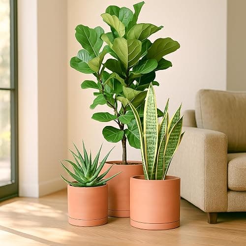 D'vine Dev Terracotta Pots for Plants, 8.3 Inch 10 Inch 12 Inch, Round Cylinder Planter Pot with Drainage and Saucer, 40-T-D-0 thumbnail 2