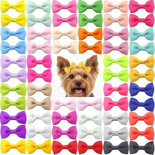 QingHan Dog Hair Bows 2 inches Small Puppy Bowknot Clips for Pet Grooming Accessories Doggy 60Pcs (30 Pairs) - Image 1
