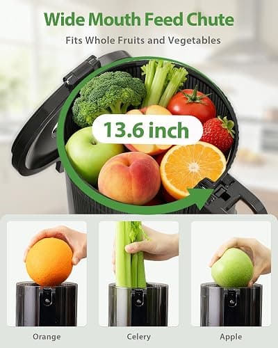 ECOSELF Juicer Machines - Wide Mouth Feed Chute with Self Feeding Hands-Free Design - Cold Press Juicer for Vegetables and Fruits - Juice Extractor Machine High Juice Yield - With Brush thumbnail 3