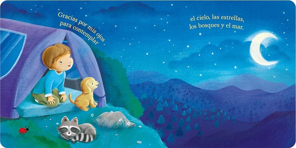 Gracias, Dios (Spanish Edition) - Un Libro Entrañable de Gratitud para Niñas y Niños (Tender Moments) thumbnail 7