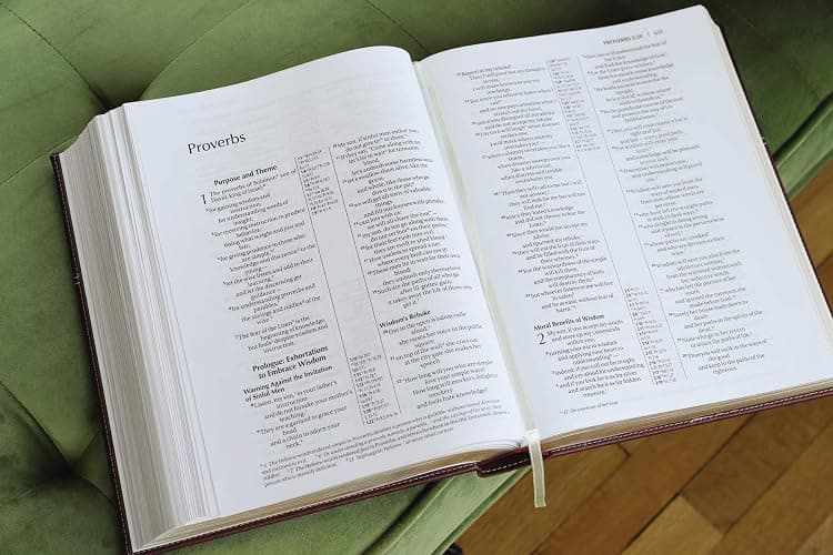 NIV, Family Bible (Keepsake Edition), Leathersoft, Burgundy, Red Letter thumbnail 6