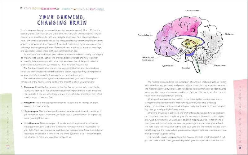Mindfulness Workbook for Teens: Exercises and Tools to Handle Stress, Find Focus, and Thrive (Health and Wellness Workbooks for Teens) thumbnail 2