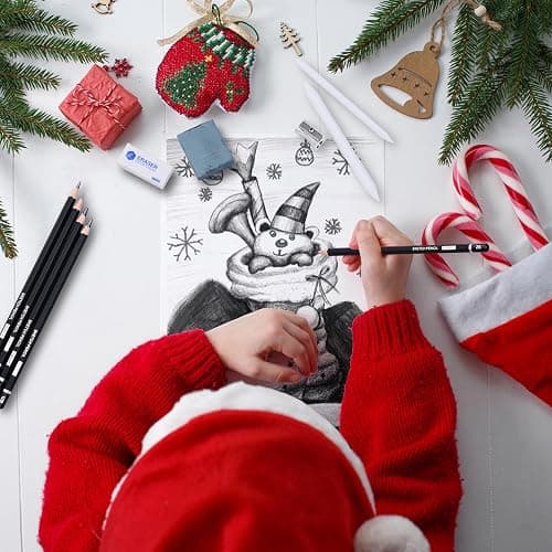 PANDAFLY Drawing Sketching Pencil Set, 22 Piece Pro Art Pencil Kit - Graphite Pencils (12B-2H), Black and White Charcoal Pencils, Charcoal Sticks, Stumps, Eraser, Sharpeners thumbnail 2