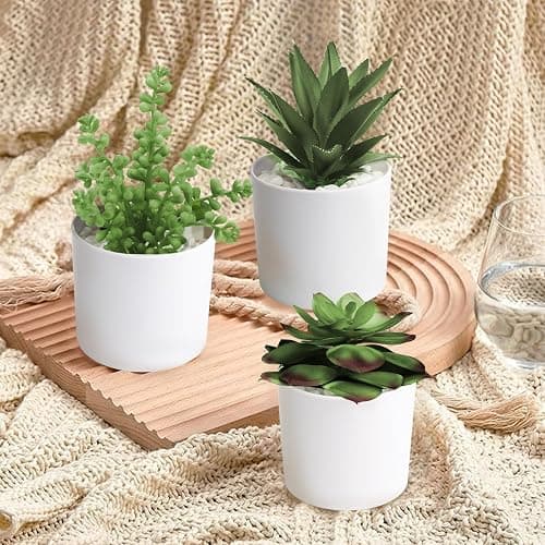 Hopewood Succulent Plants Artificial in White Pots Small Faux Potted Succulents Fake Plants in Vase Set of 3 thumbnail 2