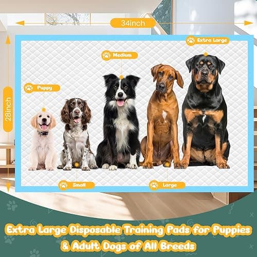 60 Count Extra Large Dog Pee Pads 28" x 34", Super Absorbent X-Large Puppy Pads Disposable Dogs Training Pads, Quick Drying Leak-Proof Dog Potty Pads for Doggies Puppies thumbnail 3