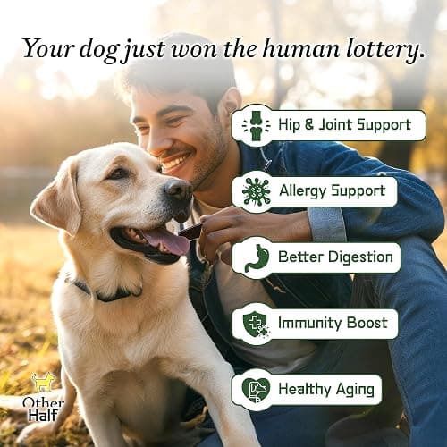 Other Half Everyday - Dog Multivitamin Supplement - Daily Joint, Gut, Allergy, Immune, Urinary Tract Support, Skin, Coat & More - Glucosamine, Chondroitin, Omega 3 & Probiotics | 45 Active Ingredients thumbnail 3