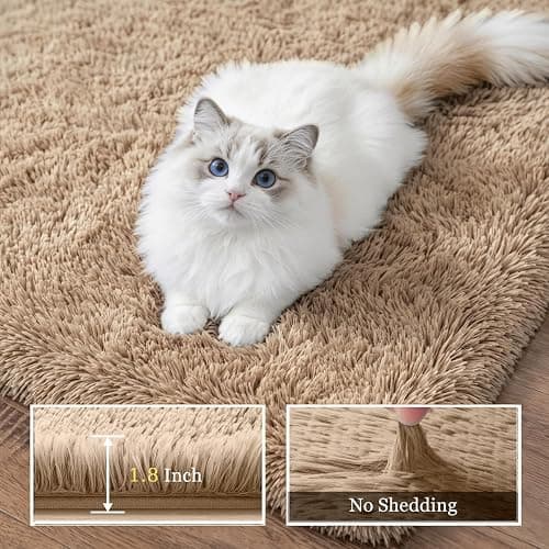 Luxturiy 8x10 Area Rug Living Room Bedroom: Fluffy Plush Shag Carpet Beige | For Kids Room Playroom Nursery Home Decor,Ultra Soft,Non-Slip Non-Shedding,Fuzzy Plush,Large Indoor Floor Carpet,Easy Clean thumbnail 5