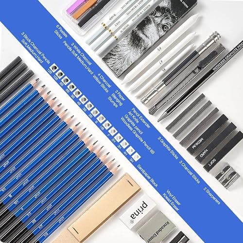 Prina 50 Pack Drawing Set Sketch Kit, Sketching Supplies with 3-Color Sketchbook, Graphite, and Charcoal Pencils, Pro Art Drawing Kit for Artists Adults Teens Beginner Kid, Ideal for Shading, Blending thumbnail 3