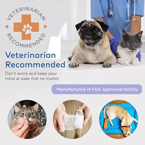 ARCA PET Cat & Dog First Aid Kit for Car - Pet Emergency Kit for Home Office Travel – Dog Camping Essentials with Digital Thermometer, Muzzle & Mini First Aid Pouch thumbnail 4