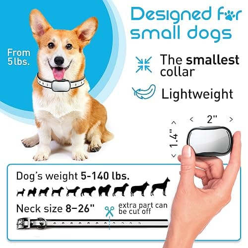 Extra Small Size Dog Training Collar with Remote for Small Dogs 5-15lbs and Puppies with Shock - Waterproof and 1000 Ft Range thumbnail 2