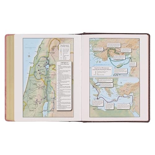 KJV Holy Bible, Note-taking Bible, Faux Leather Hardcover - King James Version, Brown/Pink (KJV Note-taking Editions) thumbnail 12