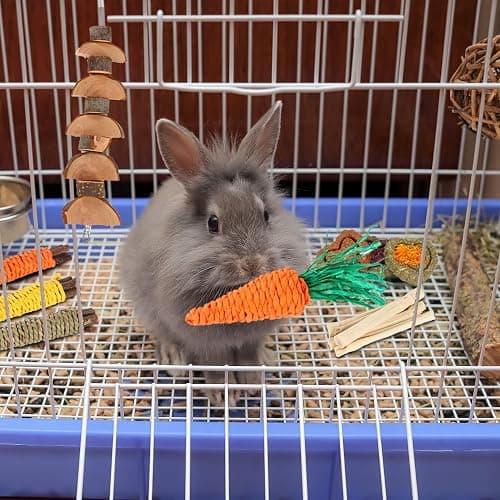 Petawi 45PCS Rabbit Guinea Pig Hamster Toys, Chinchilla Bunny Chew Toys for Teeth Apple Wood Timothy Hay Bamboo Sticks, Carrot Treats Balls for Rabbit Bunny Chinchilla Guinea Pig Hamster Rat thumbnail 5
