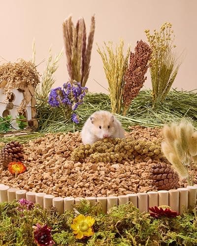 BUCATSTATE 90PCS Natural Hamster Bedding | Flowers & Herbs & Sprays for Cage Habitat Decor - Treat Cereal Grain for Dwarf Syrian Gerbils, Mice, Rat, Forage, Enrichment. thumbnail 8