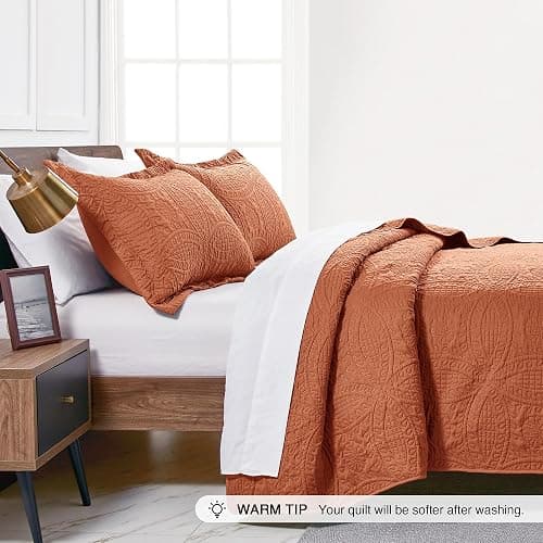Love's cabin Quilts for Queen Bed Umber Bedspreads - Soft Bed Summer Lightweight Bedspread Comforter - Modern Style Coin Pattern Coverlet for All Season - 3 Pieces (1 Quilt, 2 Pillow Shams) thumbnail 4