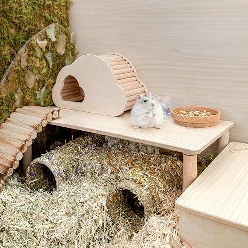 Niteangel Hamster Play Wooden Platform for Dwarf Syrian Hamsters Gerbils Mice Degus or Other Small Pets (Rectange - 7'' Height, Burlywood) thumbnail 2