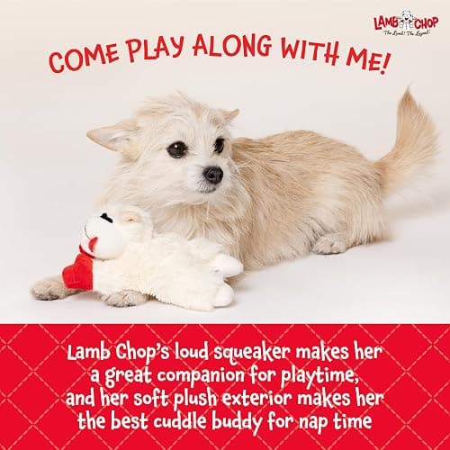 Multipet Lamb Chop Dog Plush Toy - Squeaky Toy for All Dogs - Extra Soft Plush - Stuffed Animal Dog Toy for Cuddling & Playing - Cute Pet Toy (6", Cream) thumbnail 5