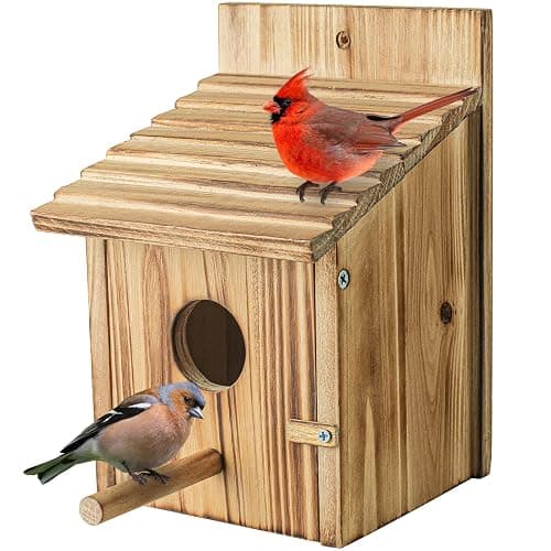 Wood Bird Houses for Outside with Pole Wooden Bird House for Finch Bluebird Cardinals Hanging Birdhouse Clearance Garden Country Cottages - Image 1