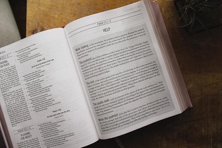 The Jesus Bible, ESV Edition, Leathersoft over Board, Pink thumbnail 5