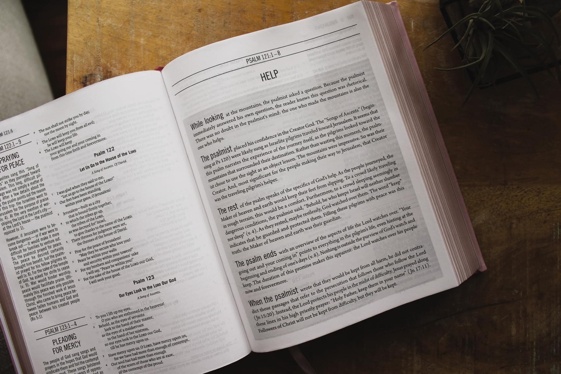 The Jesus Bible, ESV Edition, Pink thumbnail 5