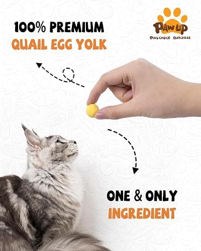 PAWUP Freeze Dried Cat & Dog Treats, Natural Quail Egg Yolk, Single Ingredient, High-Protein Pet Snacks for Skin & Coat Health, No Artificial Additives, 9.2 oz thumbnail 2
