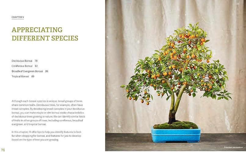 The Little Book of Bonsai: An Easy Guide to Caring for Your Bonsai Tree thumbnail 8