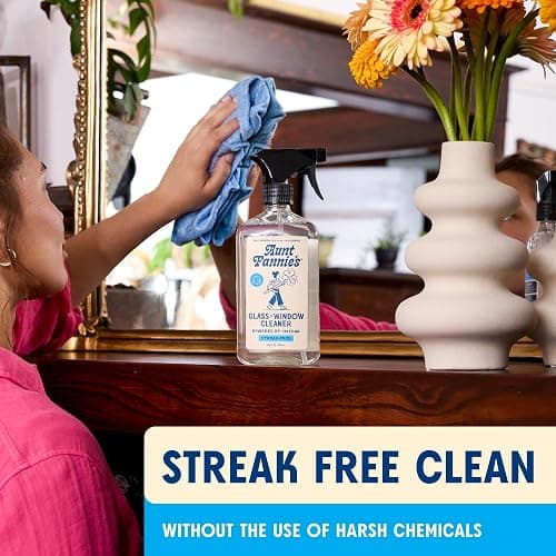 Aunt Fannie's Glass & Window Cleaning Vinegar Spray, Natural Streak-Free Spray, 16.9 Ounces (Pack of 1) thumbnail 2