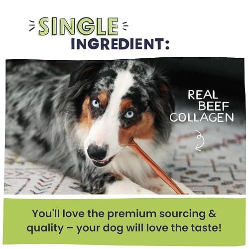 Pawstruck All Natural 11-12" Roasted Collagen Sticks for Dogs – Low Odor & Long-Lasting Bully Stick & Rawhide Alternative, Single Ingredient, Vet Approved – 5 Pack thumbnail 5