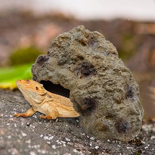 Anxingo Reptile Rock Reptile Cave Hideout for Snakes/Geckos/Lizards/Turtles and Other Amphibians, with Dinosaur Skull (Small) thumbnail 6