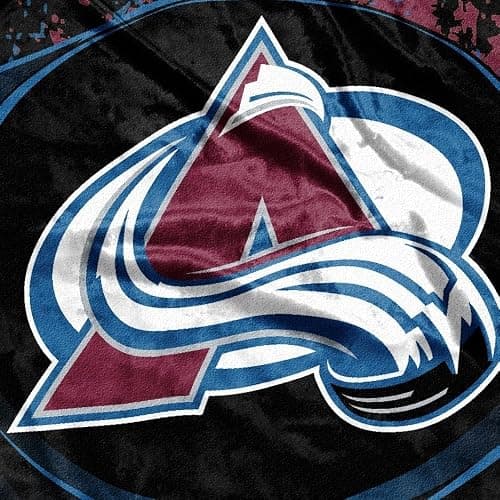 Northwest NHL Unisex-Adult Micro Raschel Throw Blanket thumbnail 2
