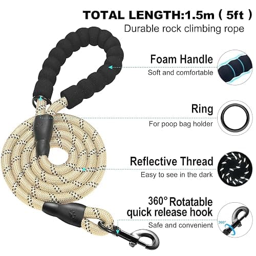 haapaw Dog Harness with Leash Set, No Pull Adjustable Reflective Step-in Puppy Harness with Thickened Padded Vest for Extra-Small/Small Medium Dogs thumbnail 3