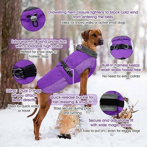 QBLEEV Warm Dog Jacket - Reflective, Adjustable Winter Coat with Turtleneck for Cold Weather, Waterproof Fleece Snowsuit for Small, Medium, Large Dogs thumbnail 2