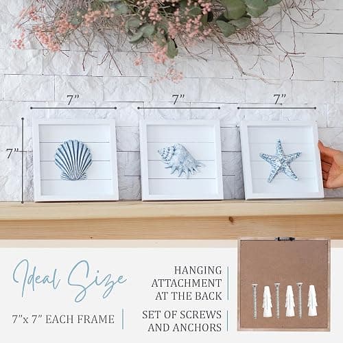 TideAndTales Blue Seashells and Starfish (Framed Set of 3) Coastal 3D Wall Art, Beach Wall Decor for Bathroom or Coastal Bedroom, Ocean Inspired Seaside Decorations for Home or Beach House (7"x7") thumbnail 3