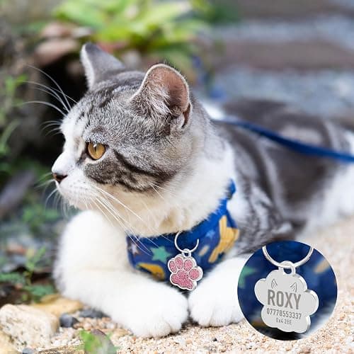 Dog Tags Personalized for Pets Dog Tag Cat Tags Personalized Dog Name Tags Personalized Dog Tags Custom Dog Tags Dog ID Tags Engraved Small Glitter Bling Paw Print(Pink Design 4) thumbnail 2