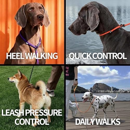 Dog Anti-Slip Leash 5FT with Metal Stopper - Durable No-Pull Training Lead for Small, Medium & Large Dogs - Comfortable Handle Nylon Rope, Tangle-Free Pet Walking Leash (Beige, 5.6FT) thumbnail 3