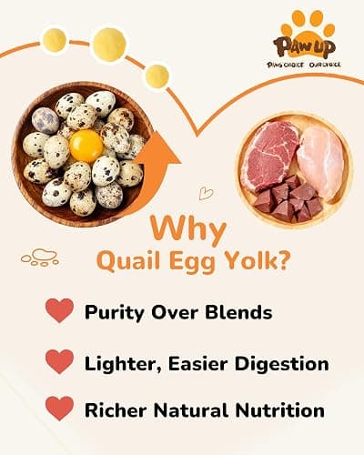 PAWUP Freeze Dried Cat & Dog Treats, Natural Quail Egg Yolk, Single Ingredient, High-Protein Pet Snacks for Skin & Coat Health, No Artificial Additives, 9.2 oz | Cat Food Topper, Kitten Treats, Premium Quality Protein, Rawhide Free, Gluten&Grain Free thumbnail 4