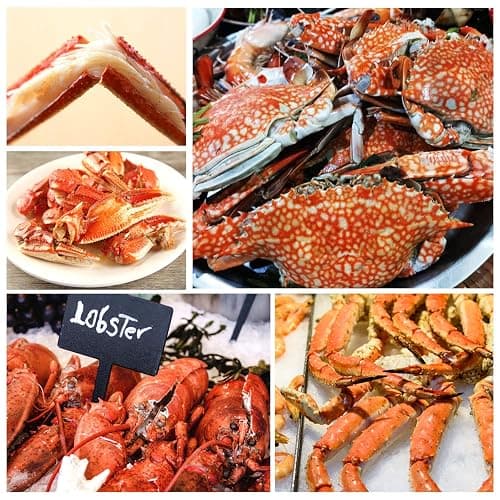 Crab Crackers and Tools, Lobster Crackers, Seafood Crab Leg Cracker Tools, Nut Cracker Set, 16 Pack thumbnail 4
