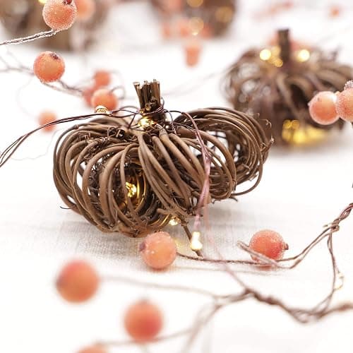 MIYA LIFE Nature Rattan Pumpkin Lights - 10FT 30 LED Cozy Fall Garland with Lights Battery Operated Charming Thanksgiving Decorations with Remote - Ideal Thanksgiving Garland Fall Decorations for Home thumbnail 9
