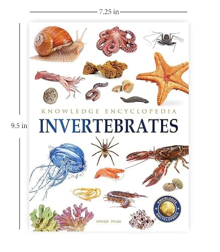 Animals: Collection of 6 Books: Knowledge Encyclopedia For Children (Box Set) thumbnail 3