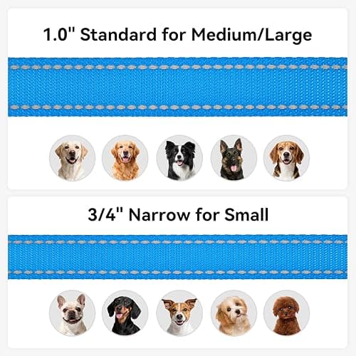Joytale Dog Leash, 6 FT Double-Sided Reflective, Padded Handle Nylon Heavy Duty Leashes for Medium & Large Dogs Walking, SkyBlue thumbnail 6