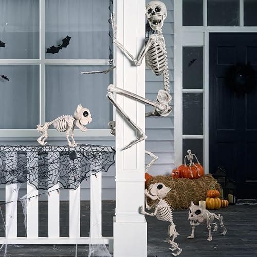 JOYIN 5.6 FT Halloween Posable Life Size Skeleton Full Body Realistic Bones with Movable Joints for Halloween Indoor and Outdoor Decoration Props Spooky Scene Party Decorations (White) thumbnail 4