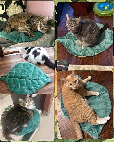 Rzxlszy Cat Mat Self Warming Cat Bed 26"x20" Leaf Shaped Cotton Soft Warm Pet Pad Blanket for Indoor Bed Couch Sofa Floors Cat and Dog Warm Mattress (Green) thumbnail 7