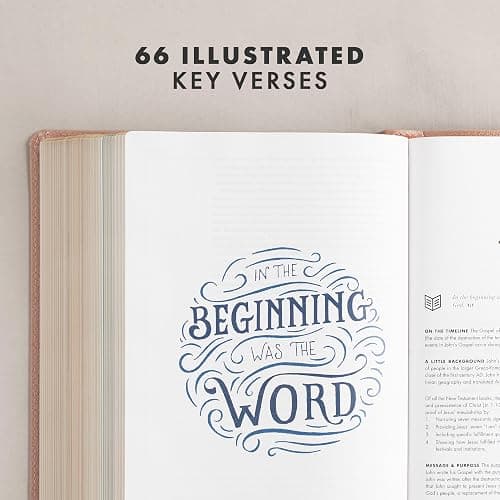 CSB She Reads Truth Bible, Rose Gold LeatherTouch, Black Letter, Full-Color Design, Wide Margins, Journaling Space, Devotionals, Reading Plans, Single-Column, Easy-to-Read Bible Serif Type thumbnail 4