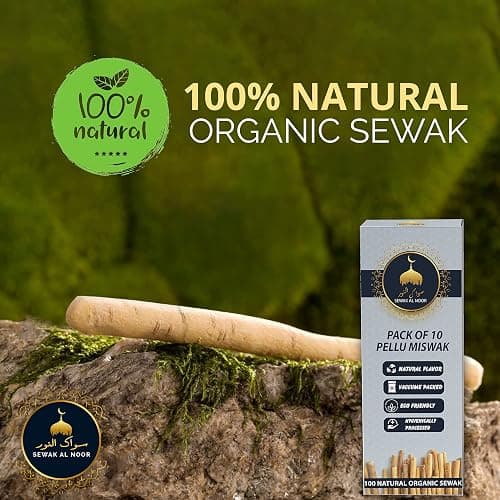 Sewak Al Noor Pack of 10 Miswak Sticks for Teeth with Holder - Vacuum Sealed Natural Flavored Chew Sticks for Humans - Natural Toothbrush for Teeth Whitening, Oral Health & Fresh Breath || Pack of 10 thumbnail 7