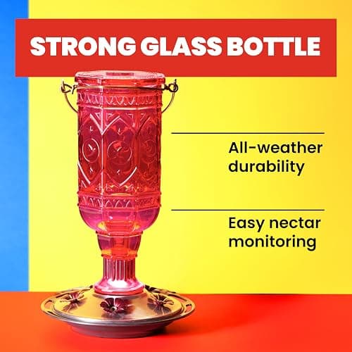 More Birds Red Jewel Hummingbird Feeder, Glass Bottle, 5 Feeding Ports and 20-Ounce Nectar Capacity (76IN) thumbnail 3